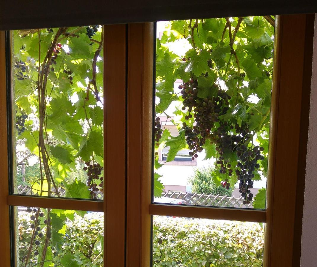 Ferienwohnung Strata Montana Bensheim Exteriör bild
